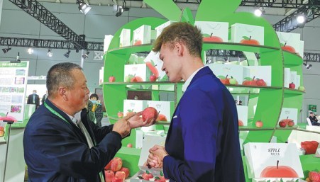 An exhibitor at the first China Shandong International Apple Festival shows his fruit to a foreign visitor. ZHANG DANDAN/CHINA DAILY An exhibitor at the first China Shandong International Apple Festival shows his fruit to a foreign visitor. ZHANG DANDAN/CHINA DAILY