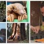 CNN’s ‘Going Green’ meets the game-changers who reveal the light bulb moments that led to a green revolution