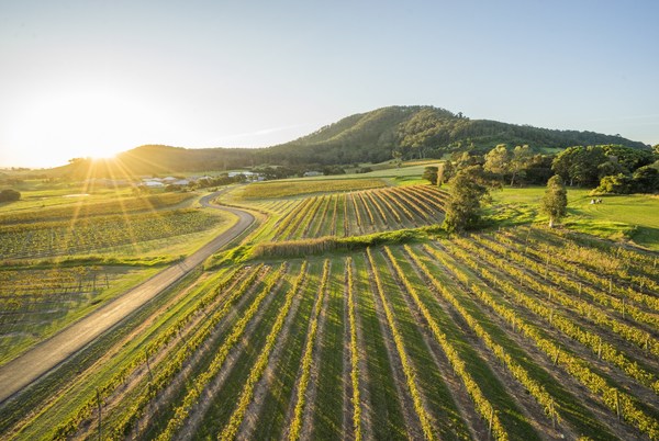 Coolangatta Estate, Shoalhaven_Credit: Destination NSW Coolangatta Estate, Shoalhaven_Credit: Destination NSW
