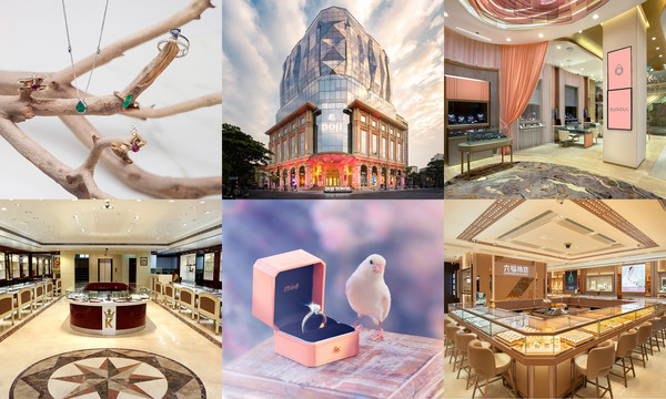 From top left (clockwise): 1. Color Jewels Inc 2. DOJI Gold & Gems Group JSC 3. Dhamani Jewels 4. Luk Fook Holdings (International) Limited 5. Shanghai Zbird Co Ltd (Zbird) 6. Kashi Jewellers From top left (clockwise): 1. Color Jewels Inc 2. DOJI Gold & Gems Group JSC 3. Dhamani Jewels 4. Luk Fook Holdings (International) Limited 5. Shanghai Zbird Co Ltd (Zbird) 6. Kashi Jewellers