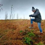 Johnnie Walker Gets Into The Festive Spirit By Giving The Gift Of One Million Trees