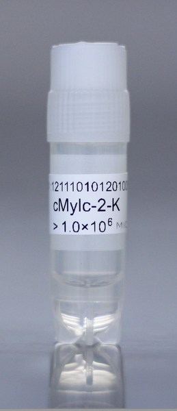 MiCAN Technologies, a research service provider based in Kyoto Japan, revealed today that its human myeloid lineage cells have been used to conduct research on the coronavirus SARS-CoV-2, which is responsible for the COVID-19 infectious disease.Today, MiCAN announced that the company is allowing free use of its cMylc products to academic researchers worldwide, who are working on research addressing the coronavirus SARS-CoV-2. MiCAN Technologies, a research service provider based in Kyoto Japan, revealed today that its human myeloid lineage cells have been used to conduct research on the coronavirus SARS-CoV-2, which is responsible for the COVID-19 infectious disease.Today, MiCAN announced that the company is allowing free use of its cMylc products to academic researchers worldwide, who are working on research addressing the coronavirus SARS-CoV-2.