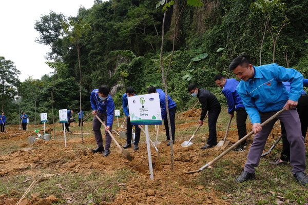 Local people participate in tree planting activities
