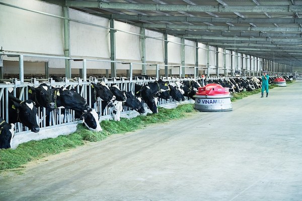Vinamilk is one of the world's 50 largest dairy companies with 16 state-of-the-art factories and 13 dairy farms. Vinamilk is one of the world's 50 largest dairy companies with 16 state-of-the-art factories and 13 dairy farms.
