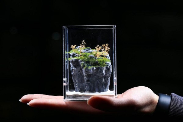 Customize tiny formicarium Customize tiny formicarium