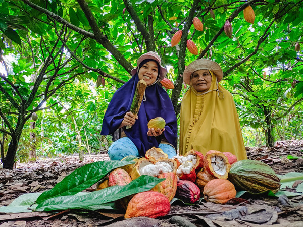 Besides an emphasis on quality, taste and convenience, all Van Houten Professional products have 100% sustainably sourced cocoa via the Cocoa Horizons Foundation, a non-profit organization established by Barry Callebaut to scale impact in cocoa growing communities.