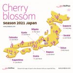 Experience Japan’s 2021 Cherry Blossom from home