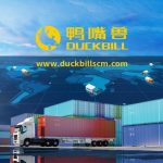 Duckbill Announces the Closing of Its US$50 Million Funding led by Temasek, a New Record in the Industry