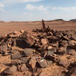 In AlUla, archaeologists uncover earliest evidence of a domesticated dog in Arabia