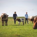 Meatable Raises $47 Million Series A to Continue Scaling Trajectory and Expand its Product Portfolio with Beef