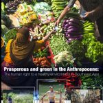 The Raoul Wallenberg Institute of Human Rights and Humanitarian Law Takes Action to Protect Human Rights from Environmental Risks