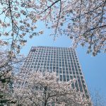 Tickled pink: Agoda’s guide to experiencing spring blossoms 2021