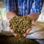 Antibiotic Alternatives Stimulate New Product Development in Global Animal Feed Ingredient Market