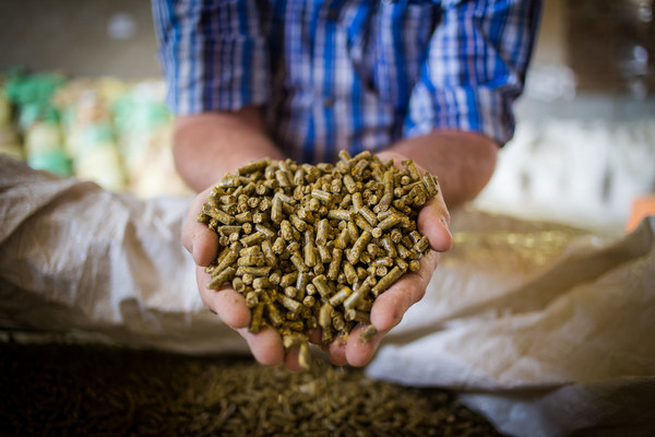 Animal Feed Ingredients Market Animal Feed Ingredients Market