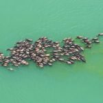 Ecological wonder and ancient town draw tourists to Peng’an county, Sichuan