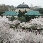 Hot dry noodles, Yellow Crane Tower and bright prospects: Wuhan extends invitation to global visitors, investors