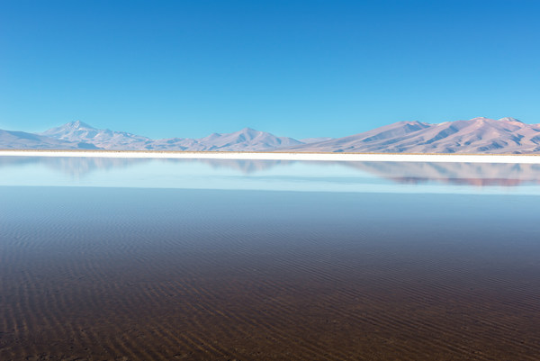 Salar de Maricunga, Chile Salar de Maricunga, Chile