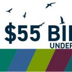 Pengana Capital Group to host 9-part investment webinar series across it’s diverse range of specialities