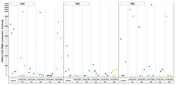 CP-COV-03’s SARS-CoV2 in-vivo efficacy study results