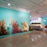 Korean Skincare Brand AXIS-Y Shares 3 ways of business growth in the Year of COVID