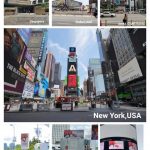 Lychees grow out of thousand-year-old trees