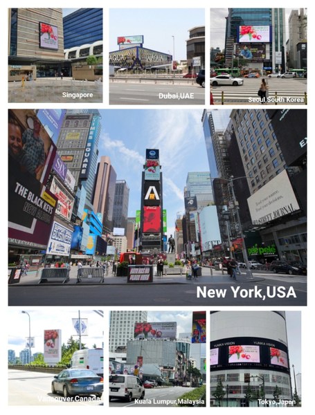 Lychee from Guangdong, China appeared on landmark screens in North America, Southeast Asia, Middle East and other regions.