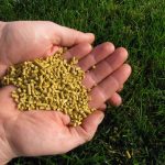 Maqis seizes corn gluten meal worth over RM290,000 from South Korea