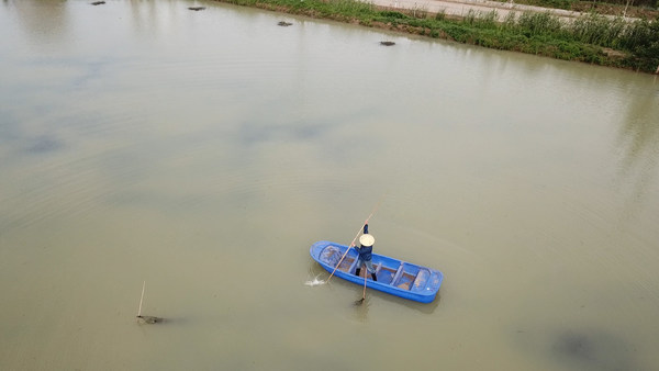 Suning.com helps farmers in Xuyi County in eastern China's Jiangsu Province with the sale of the local specialty crawfish