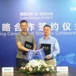Portonbio announced strategic cooperation with KAEDI to accelerate the R&D and production of CAR-T drugs