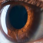 A Drop for Clear Vision: Japan Has Surpassed Itself Again with the Development of Ultra-High-Concentration Lutein