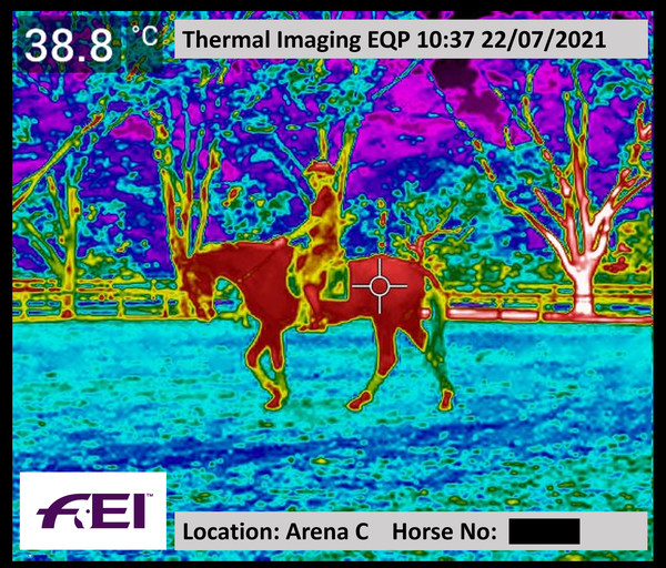 Example of monitoring horses in work using thermal imaging cameras at the Tokyo 2020 Olympic Games. © FEI. Example of monitoring horses in work using thermal imaging cameras at the Tokyo 2020 Olympic Games. © FEI.