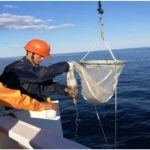 China Oceanic Development Foundation: The Yellow Sea Stays Stable and Well – Results of the Environmental Cooperative Research between the Republic of Korea and China