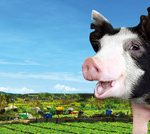 Innovative Operation Method for a Hong Kong Pig Farm: Hong Kong Heritage Pork founder John Lau Hon Kit has implemented a self-breeding, self-raising, and self-sale technique