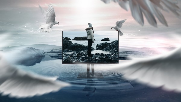 ViewSonic introduces the ColorPro VP56 series of monitors which are designed for creators. ViewSonic introduces the ColorPro VP56 series of monitors which are designed for creators.