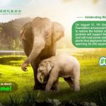 Yili Pledges to Protect Wild Elephant Reserves on 2021 World Elephant Day