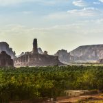 AlUla’s Ambitious Nature and Wildlife Strategy Recognised at Global Level with IUCN Agreement