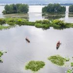 Xinhua Silk Road: Wetlands conservation efforts help SW. China’s Kunming improve ecology