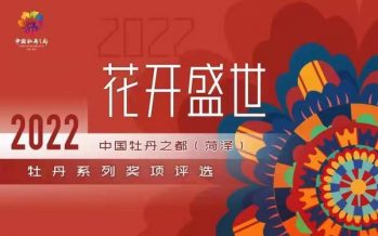 The 2022 Award Selection Campaign for Outstanding Contribution Award and Blooming World Peony Awards of the Peony Capital of China (Heze) kicks off