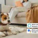 A FAMREE launches new air purifier on Amazon