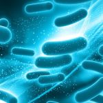 Increasing Health Consciousness Among Consumers to Shift the Global Prebiotic Ingredients Market