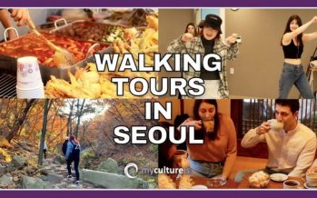 mycultureis to offer Seoul Walking Tour for international travelers