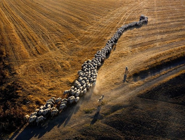 In this year's ColorPro Award 2021 Global Photography Contest, approximately 6,500 entries were received from 41 countries illustrating the theme of 'New Adventure'.