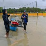 Trapped ‘furkids’ in flood-ravaged Taman Sri Muda not forgotten