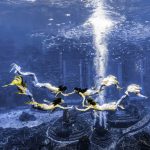 Atlantis Sanya Hosts China’s First Mermaid Performance Contest
