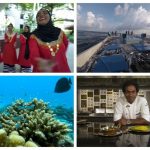 CNN’s ‘Reconnect Maldives’ explores cultural traditions, culinary secrets and an unrivaled underwater kingdom