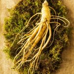 The Korea Ginseng Association announced 2022 Yeongju World Punggi Ginseng Expo