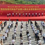 Xinhua Silk Road: Forestry industry flourishes in Guangxi’s Baise with annual output over RMB 15 bln