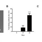 COVID-19 Oral Vaccine and Antibody Booster: B. subtilis Spores, Biotechnology Breakthrough by DreamTec