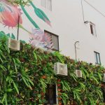 FROM ORDINARY SHOPLOT TO ARTISTIC WALL MURAL