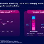 Miaozhen Systems Reports: China Social Marketing Investment to Increase 18% in 2022